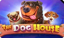 Flappy Casino giochi The Dog House